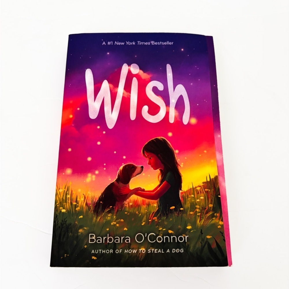 Wish by Barbara O'Connor (Paperback) Children’s Chapter Book